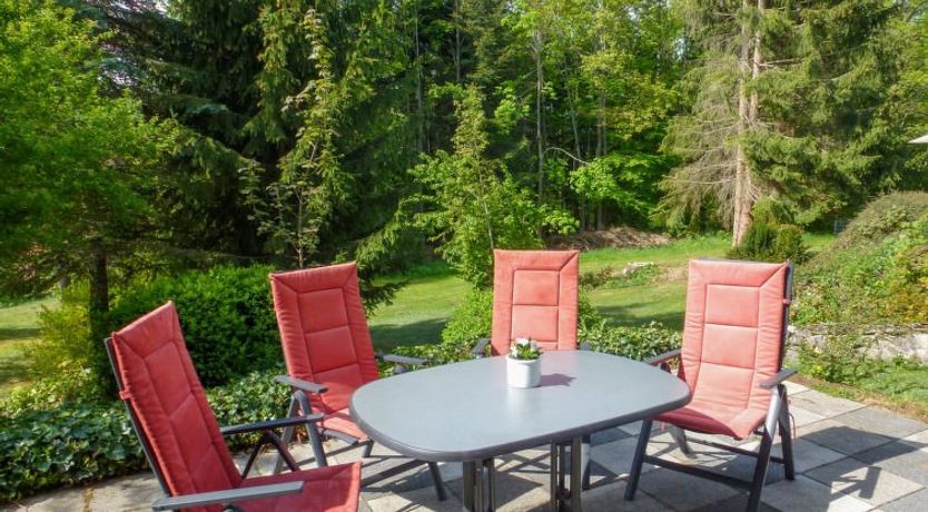 Photo of Zum munteren Eichhörnchen