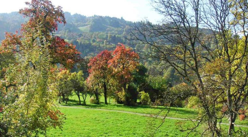 Photo of les Huskies Apartment 6