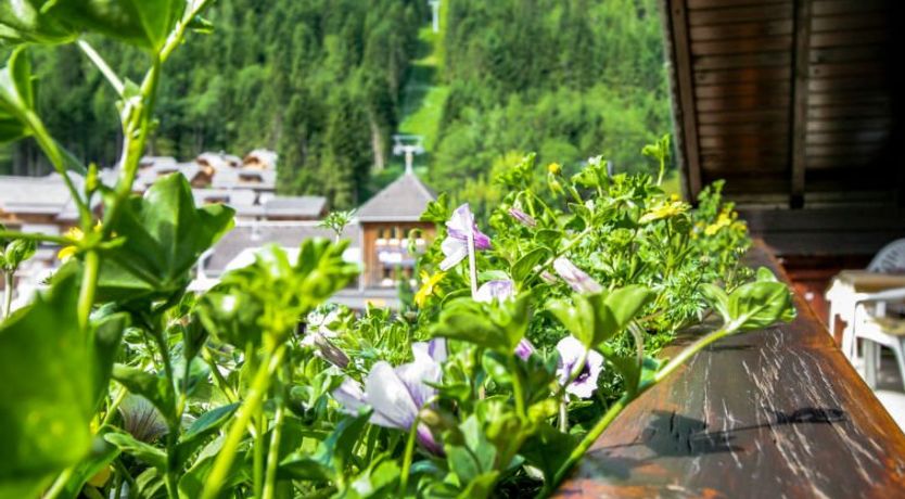 Photo of Gipfelkreuz Apartment 3