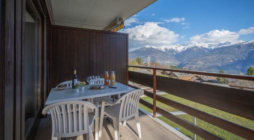 Photo of Austral 204