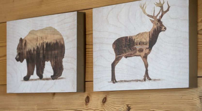 Photo of Plein Soleil A 9 Apartment 4