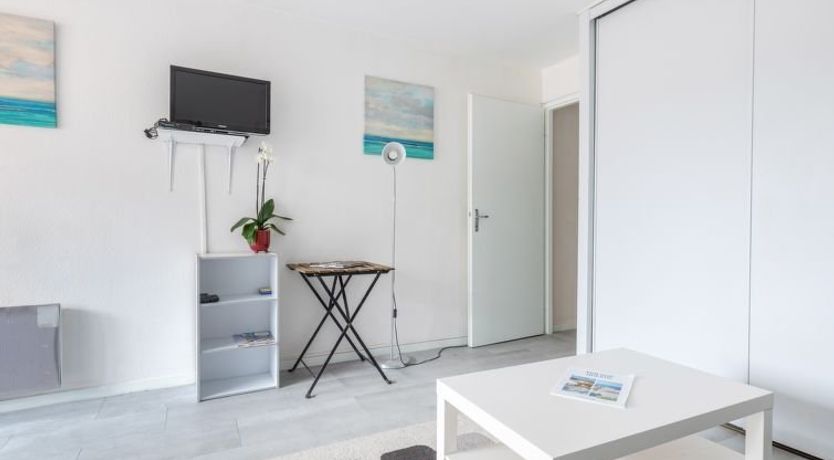 Photo of Les Hélianthes