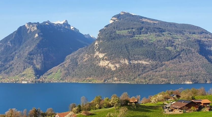 Photo of Panoramaferienwohnung Waldkircher