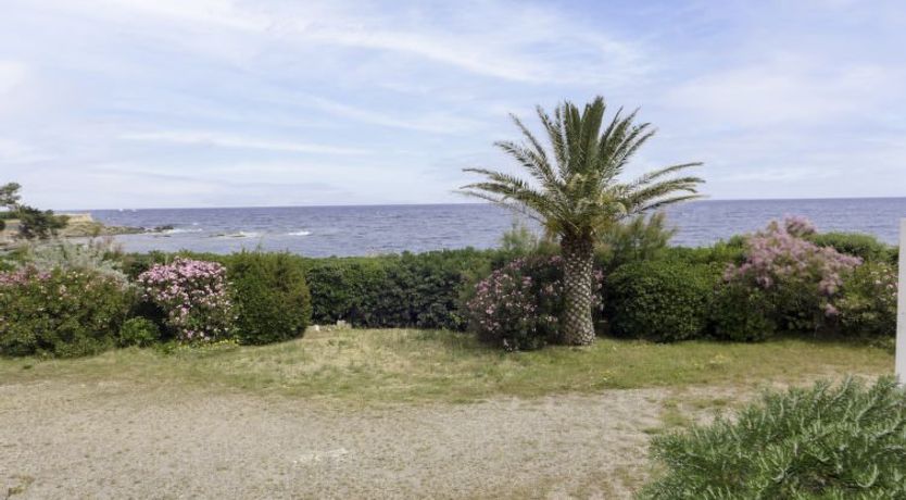 Photo of Les Corailleurs