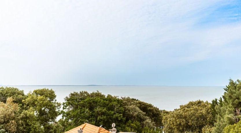 Photo of Le Bois du Roy