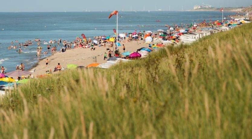 Photo of Ref. 702 Apartment 8