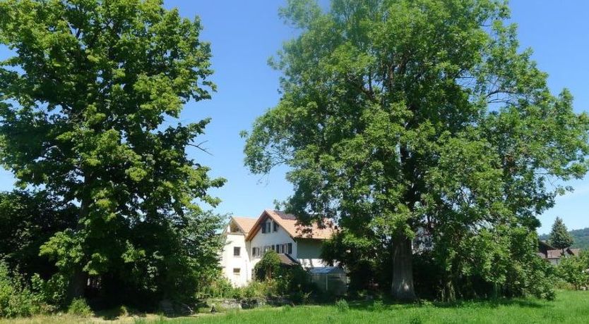Photo of Ferienhaus Oase am Mühlebach