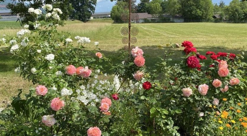 Photo of Ferienhaus Oase am Mühlebach