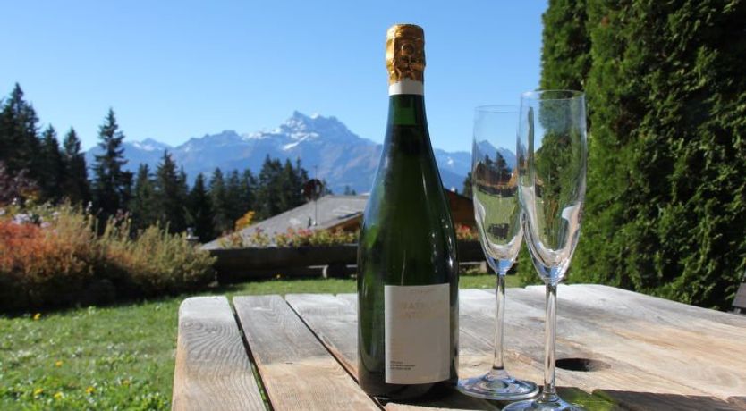 Photo of Rose des Vents 4