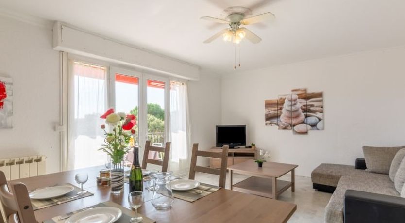 Photo of Les Mimosas