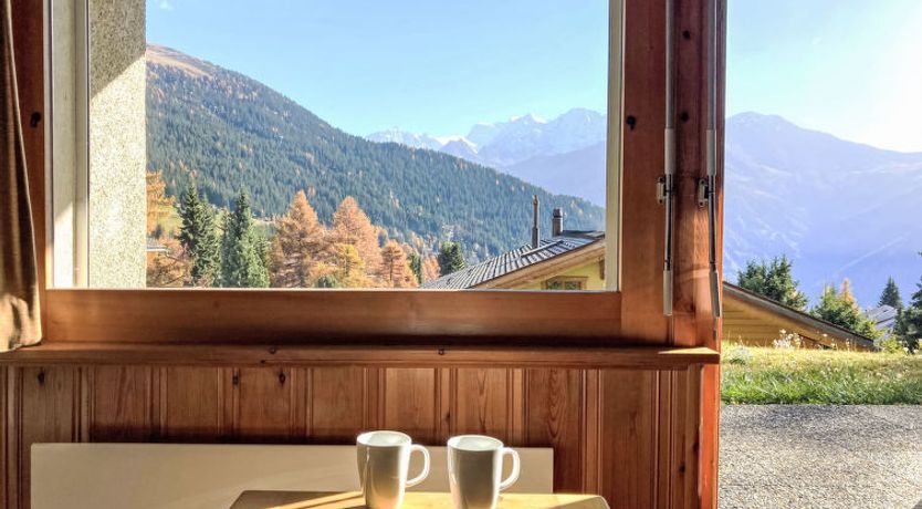 Photo of Orchidée 111