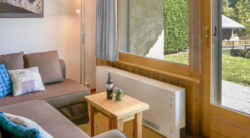 Photo of Orchidée 111