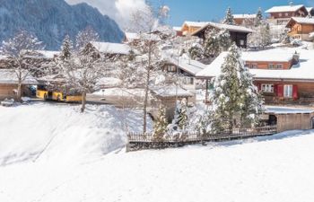 Engel Ingold Lodge Chalet «Bärgblümli» Holiday Home