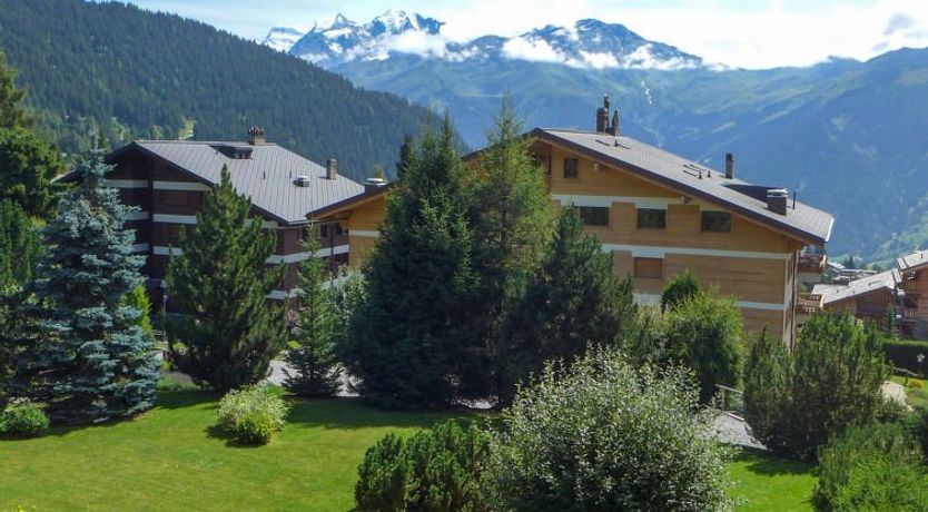 Photo of Romarin 220