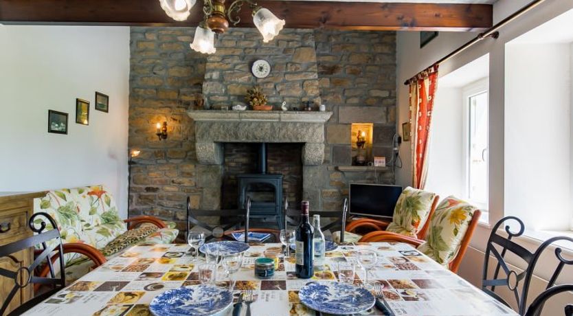 Photo of Blaue Hortensie