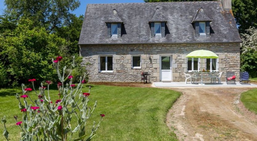 Photo of Blaue Hortensie