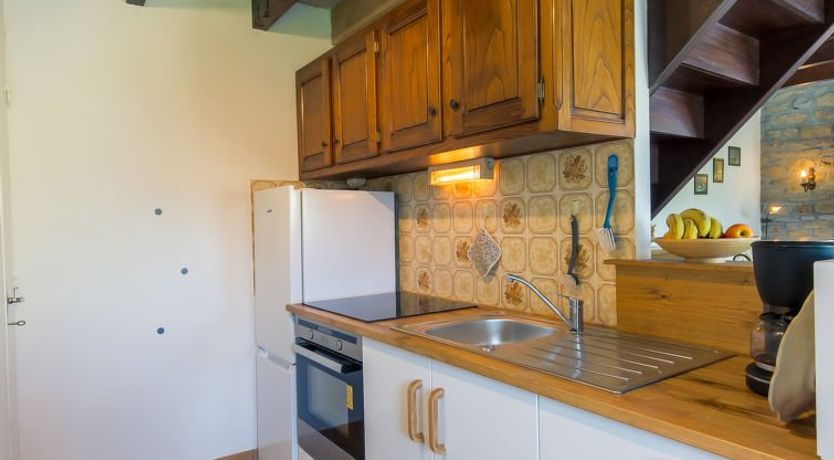 Photo of Blaue Hortensie