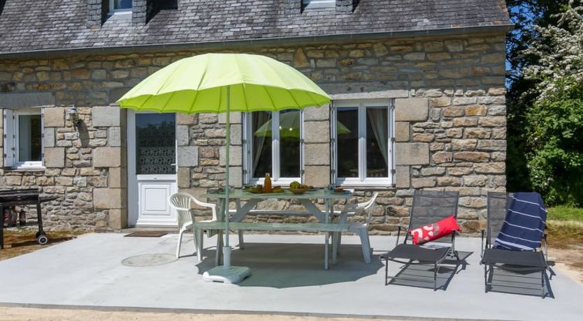 Photo of Blaue Hortensie