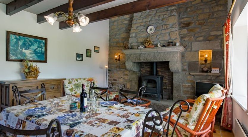 Photo of Blaue Hortensie