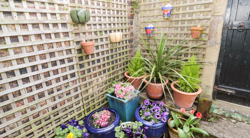 Photo of Coquet Cottage