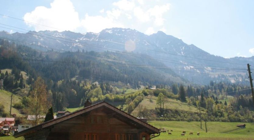 Photo of Chalet Bifigen