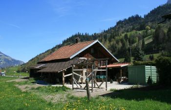 Chalet Bifigen Holiday Home