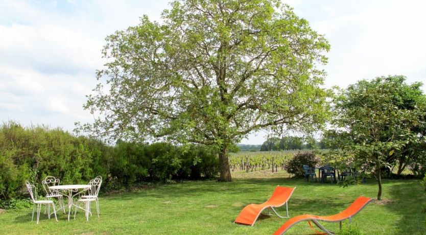 Photo of Les Mailloches