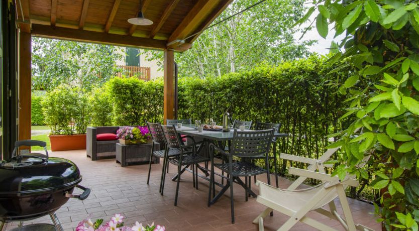 Photo of Viola (BLU601)