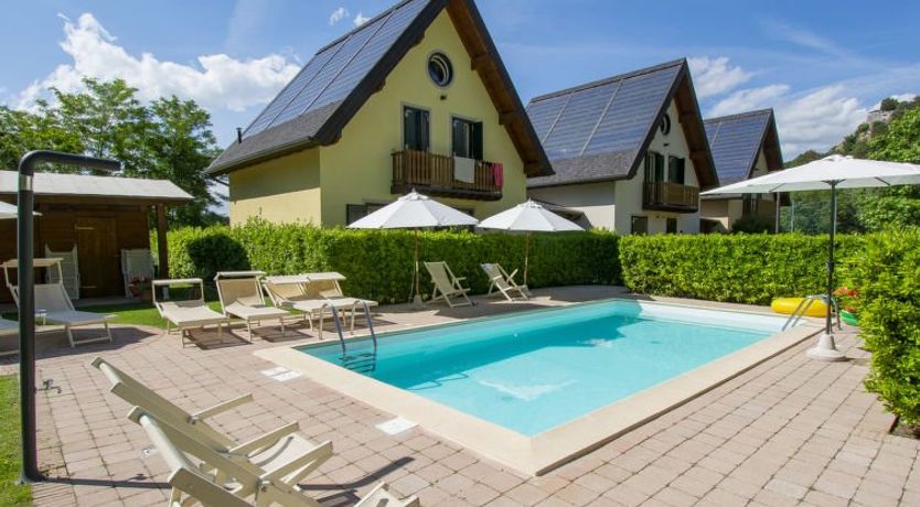 Photo of Viola (BLU601)