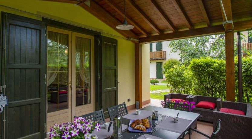 Photo of Viola (BLU601)