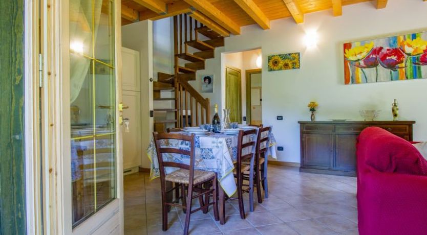 Photo of Viola (BLU601)