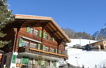 Chalet Zimmermann Holiday Home