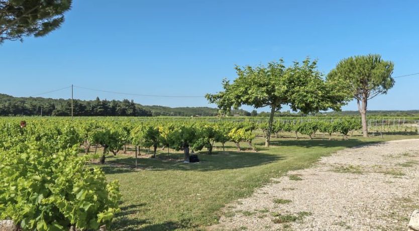 Photo of La Cardeline