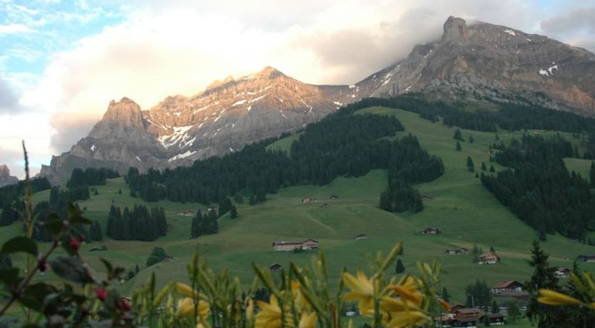 Photo of Bärgchutzli 1. Stock