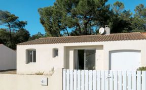 Photo of Les Algues