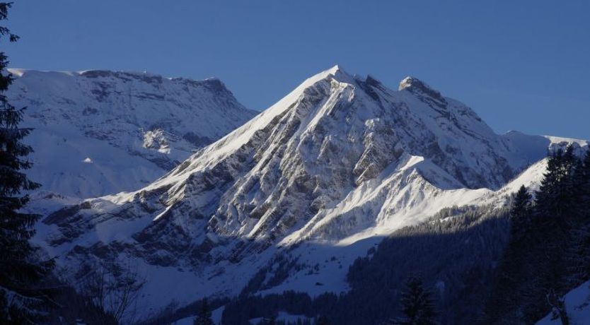 Photo of Anno Domini