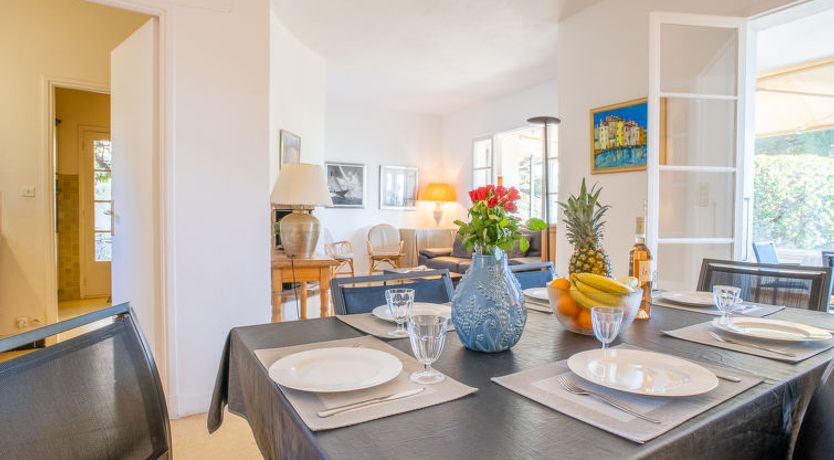 Photo of Pigeon Vole