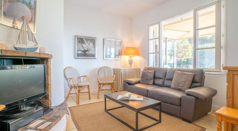 Photo of Pigeon Vole