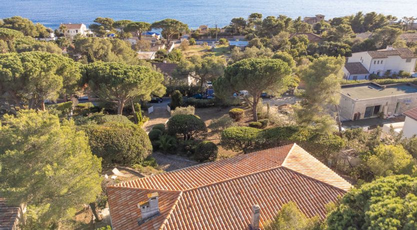 Photo of Pigeon Vole