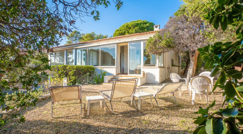 Photo of Pigeon Vole