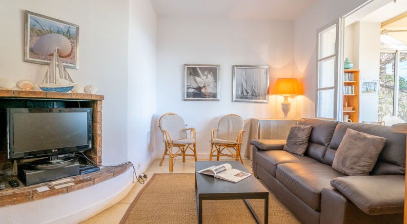 Photo of Pigeon Vole