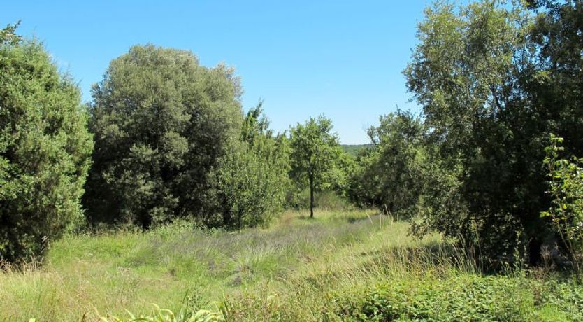 Photo of Le Moulin de Verfeuil