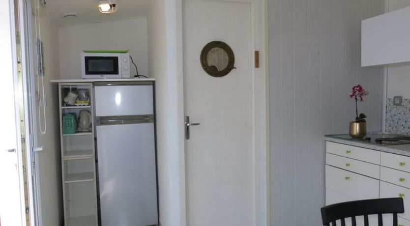 Photo of Roses Tremières