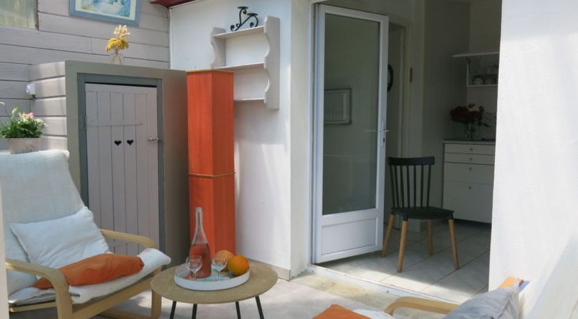 Photo of Roses Tremières