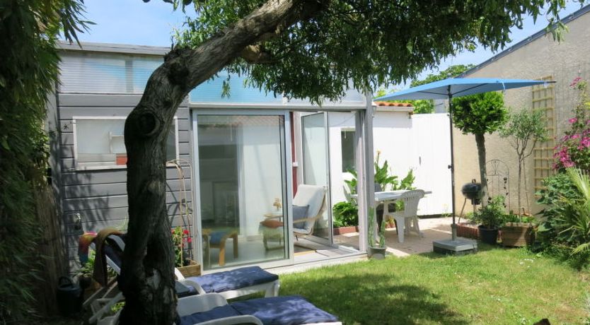 Photo of Roses Tremières