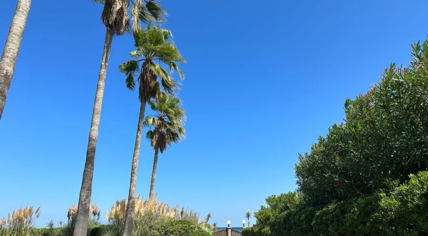 Photo of Les Chênes