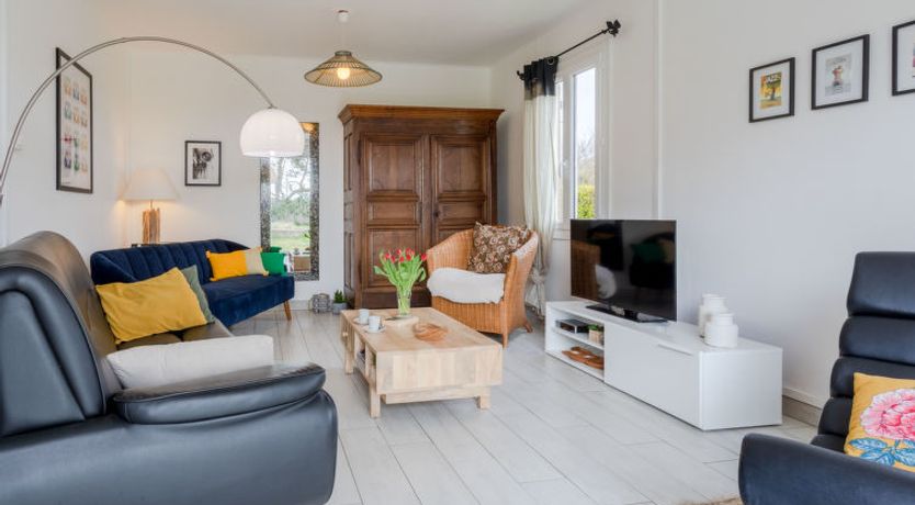 Photo of Les Cordylines