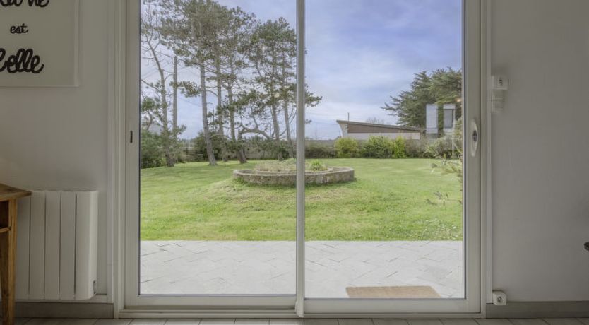 Photo of Les Cordylines