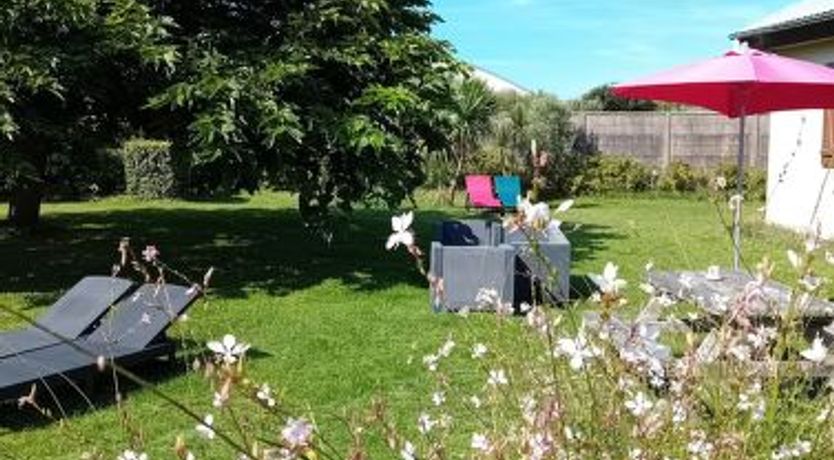 Photo of Les Cordylines