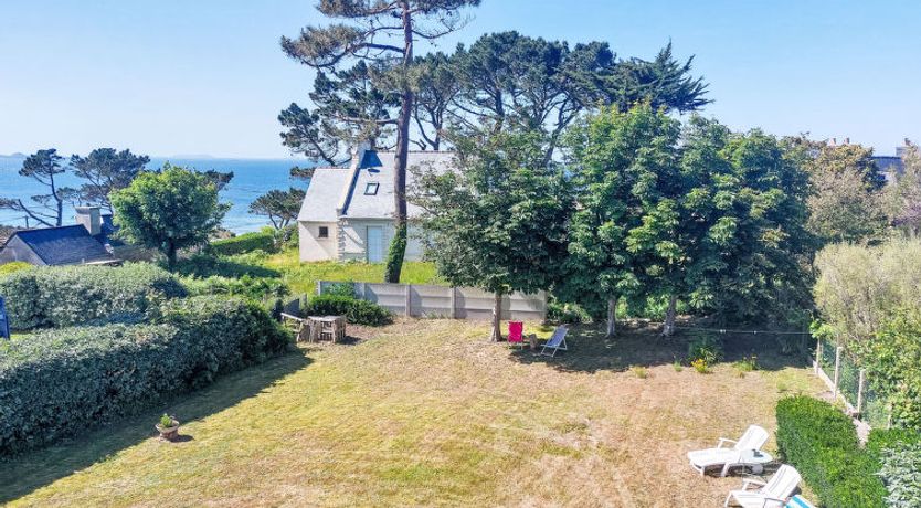 Photo of Les Courlis